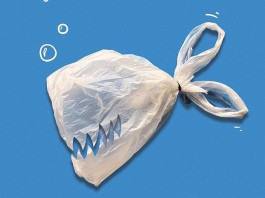 Porquê deixar de usar sacos plásticos?